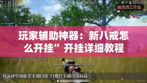 玩家辅助神器：新八戒怎么开挂”开挂详细教程