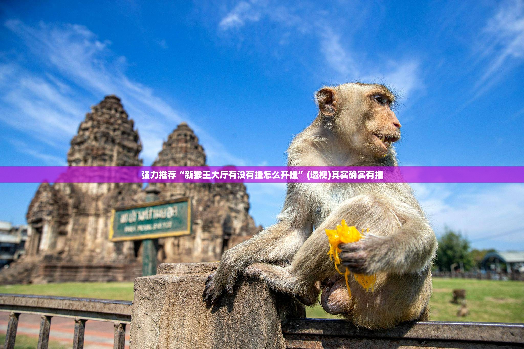 强力推荐“新猴王大厅有没有挂怎么开挂”(透视)其实确实有挂