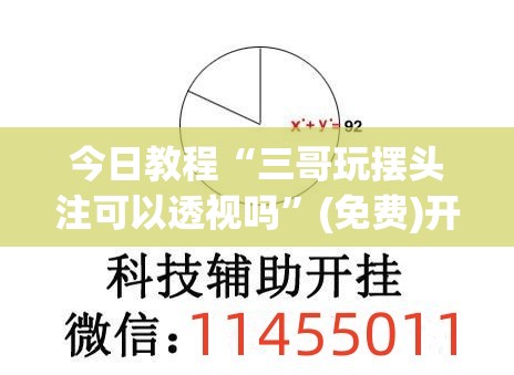 今日教程“三哥玩摆头注可以透视吗	”(免费)开挂辅助教学(最新辅助开挂教程)