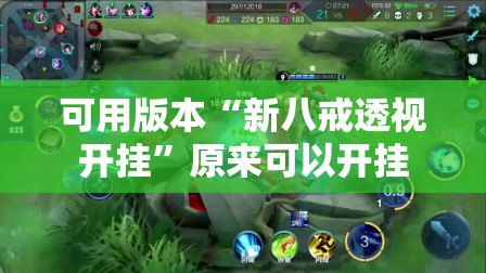 可用版本“新八戒透视开挂”原来可以开挂