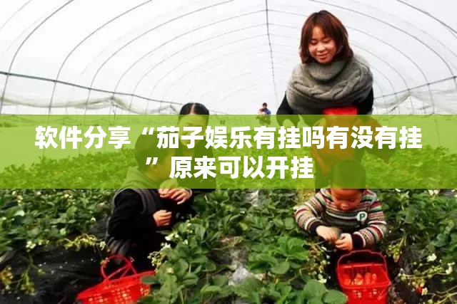 软件分享“茄子娱乐有挂吗有没有挂”原来可以开挂