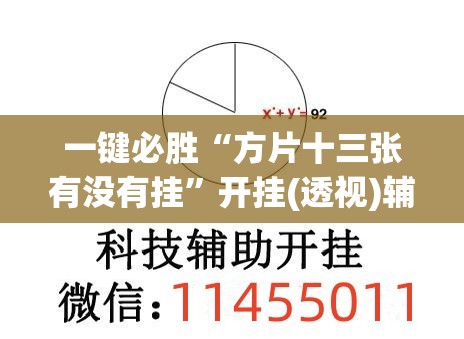 一键必胜“方片十三张有没有挂	”开挂(透视)辅助神器