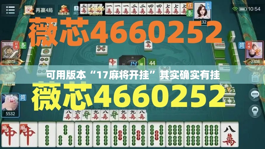 可用版本“17麻将开挂	”其实确实有挂