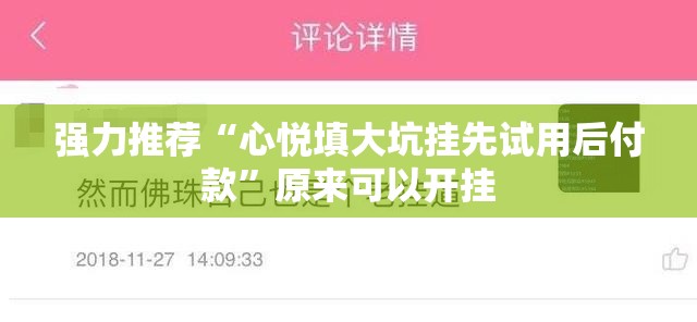 强力推荐“心悦填大坑挂先试用后付款”原来可以开挂