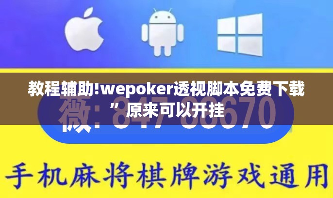 教程辅助!wepoker透视脚本免费下载”原来可以开挂
