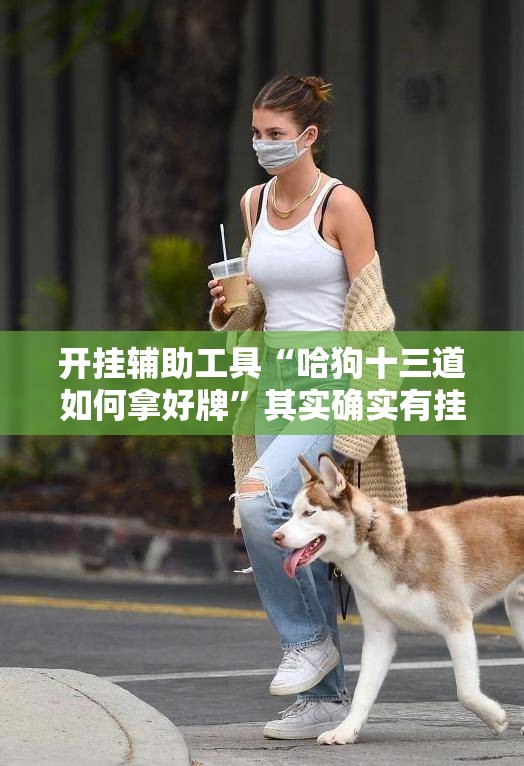 开挂辅助工具“哈狗十三道如何拿好牌”其实确实有挂