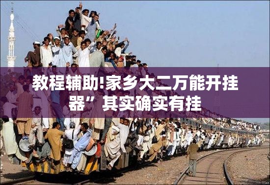 教程辅助!家乡大二万能开挂器”其实确实有挂