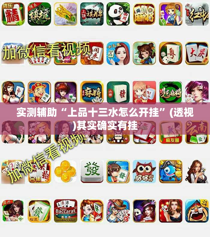 实测辅助“上品十三水怎么开挂”(透视)其实确实有挂