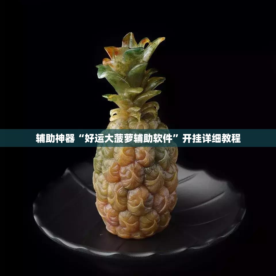 辅助神器“好运大菠萝辅助软件”开挂详细教程