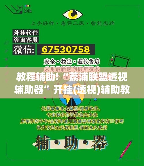 教程辅助!“荔浦联盟透视辅助器”开挂(透视)辅助教程