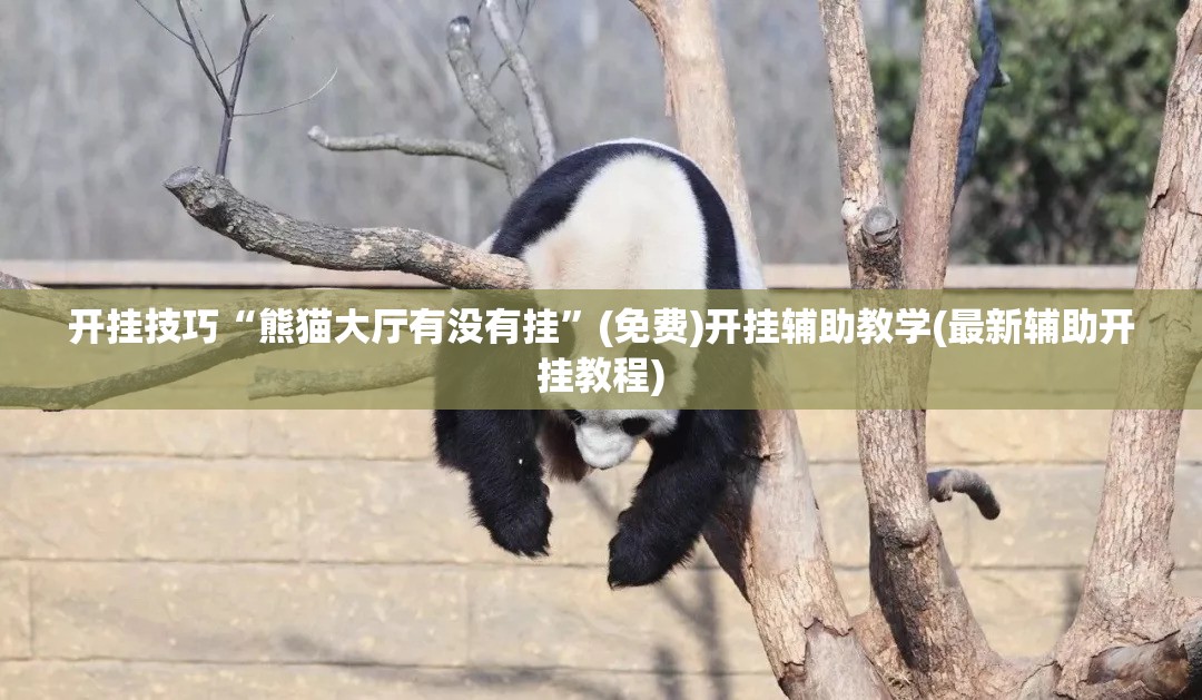 开挂技巧“熊猫大厅有没有挂”(免费)开挂辅助教学(最新辅助开挂教程)