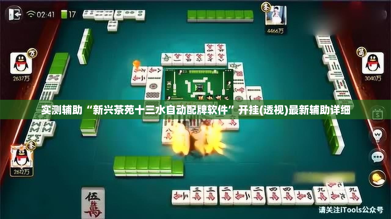 实测辅助“新兴茶苑十三水自动配牌软件”开挂(透视)最新辅助详细