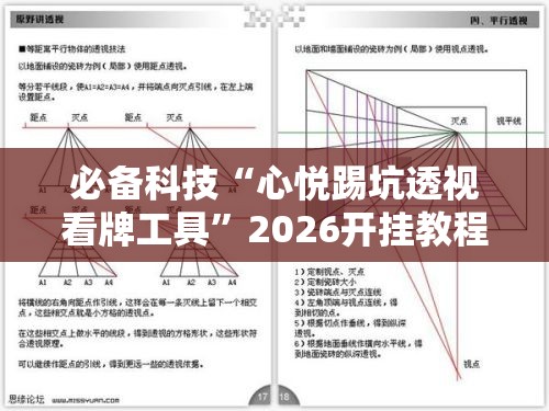 必备科技“心悦踢坑透视看牌工具”2026开挂教程步骤