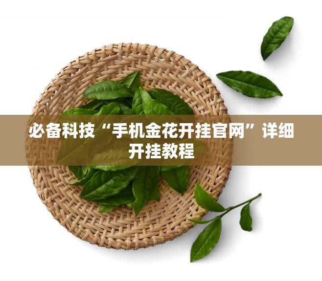 必备科技“手机金花开挂官网”详细开挂教程