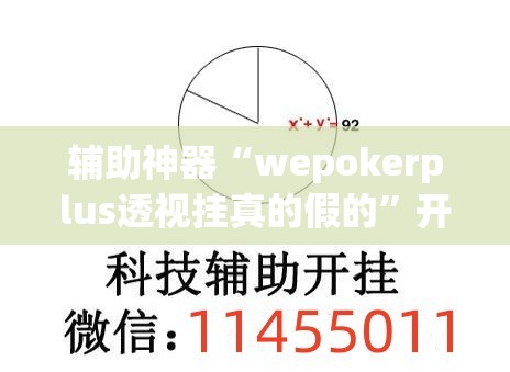 辅助神器“wepokerplus透视挂真的假的”开挂(透视)辅助教程