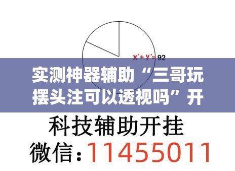 实测神器辅助“三哥玩摆头注可以透视吗”开挂(透视)辅助教程