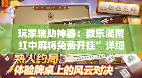 玩家辅助神器：微乐湖南红中麻将免费开挂”详细外挂透视辅助软件教程