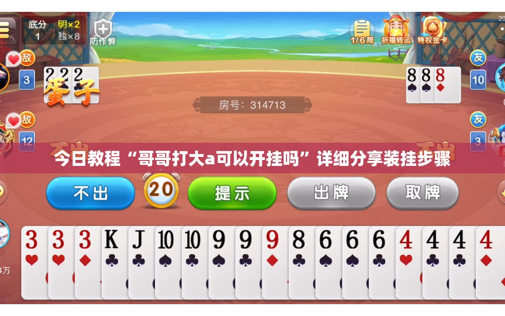 今日教程“哥哥打大a可以开挂吗”详细分享装挂步骤