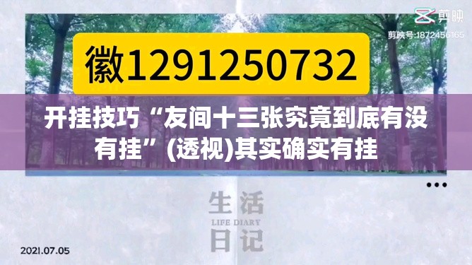 开挂技巧“友间十三张究竟到底有没有挂”(透视)其实确实有挂