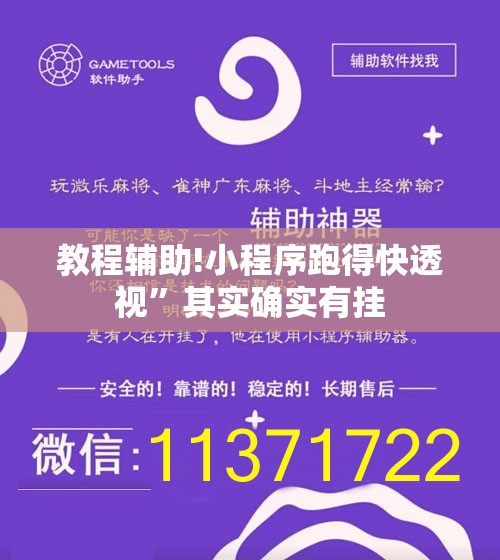 教程辅助!小程序跑得快透视”其实确实有挂