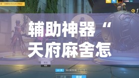 辅助神器“天府麻舍怎么开挂”原来可以开挂