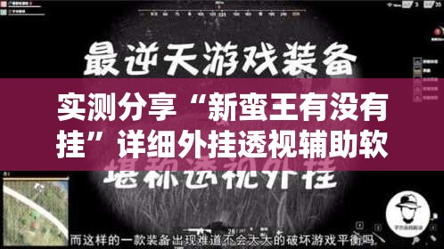 实测分享“新蛮王有没有挂”详细外挂透视辅助软件教程