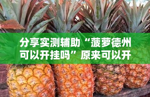 分享实测辅助“菠萝德州可以开挂吗	”原来可以开挂