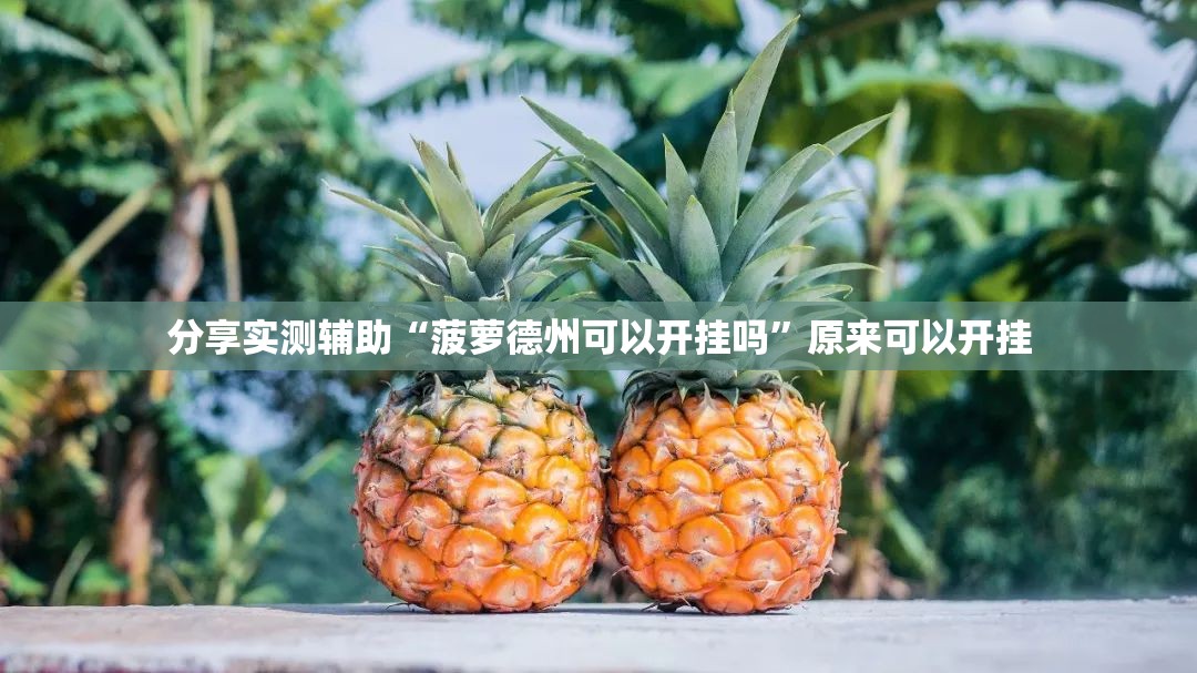 分享实测辅助“菠萝德州可以开挂吗”原来可以开挂