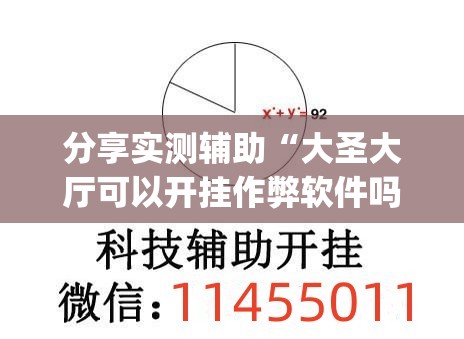 分享实测辅助“大圣大厅可以开挂作弊软件吗(透视)	”开挂辅助脚本+详细开挂安装教程
