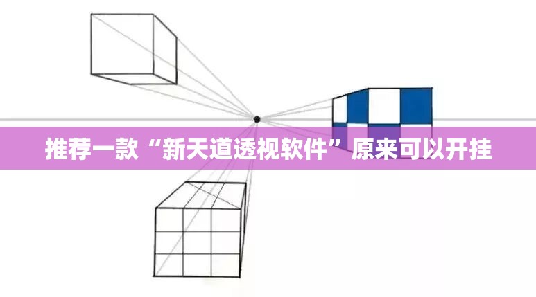 推荐一款“新天道透视软件”原来可以开挂