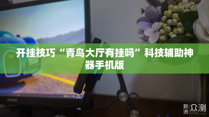 开挂技巧“青鸟大厅有挂吗”科技辅助神器手机版