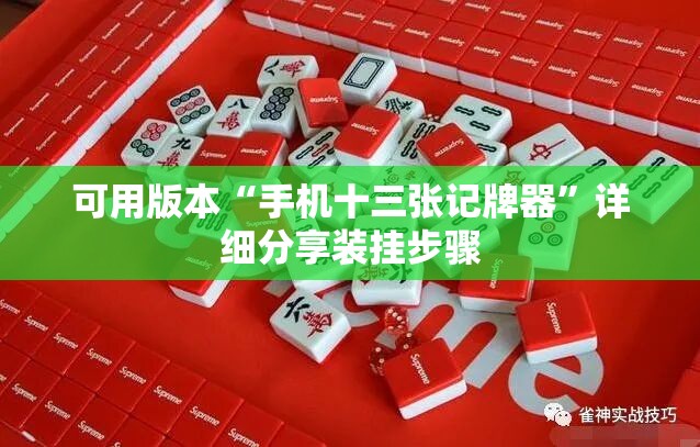 可用版本“手机十三张记牌器”详细分享装挂步骤