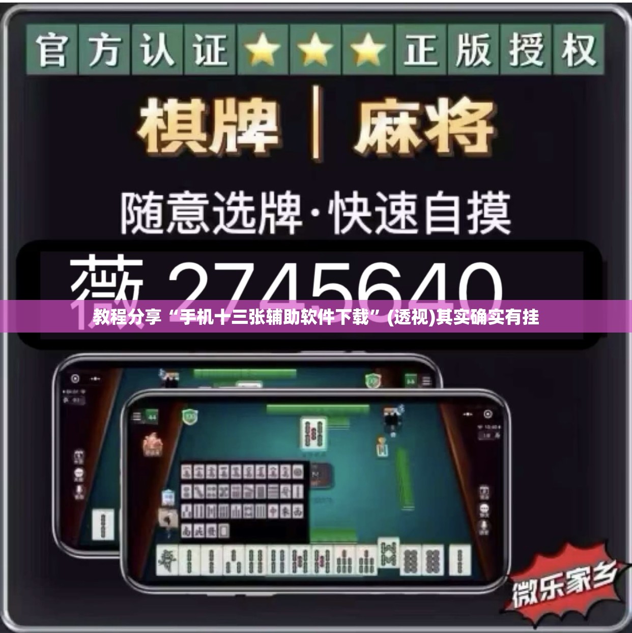 教程分享“手机十三张辅助软件下载”(透视)其实确实有挂