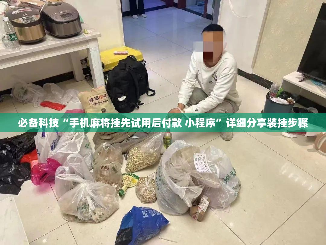 必备科技“手机麻将挂先试用后付款 小程序”详细分享装挂步骤