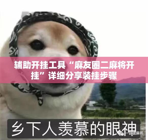 辅助开挂工具“麻友圈二麻将开挂	”详细分享装挂步骤