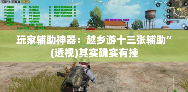 玩家辅助神器：越乡游十三张辅助”(透视)其实确实有挂