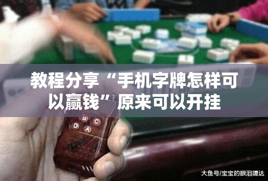 教程分享“手机字牌怎样可以赢钱”原来可以开挂