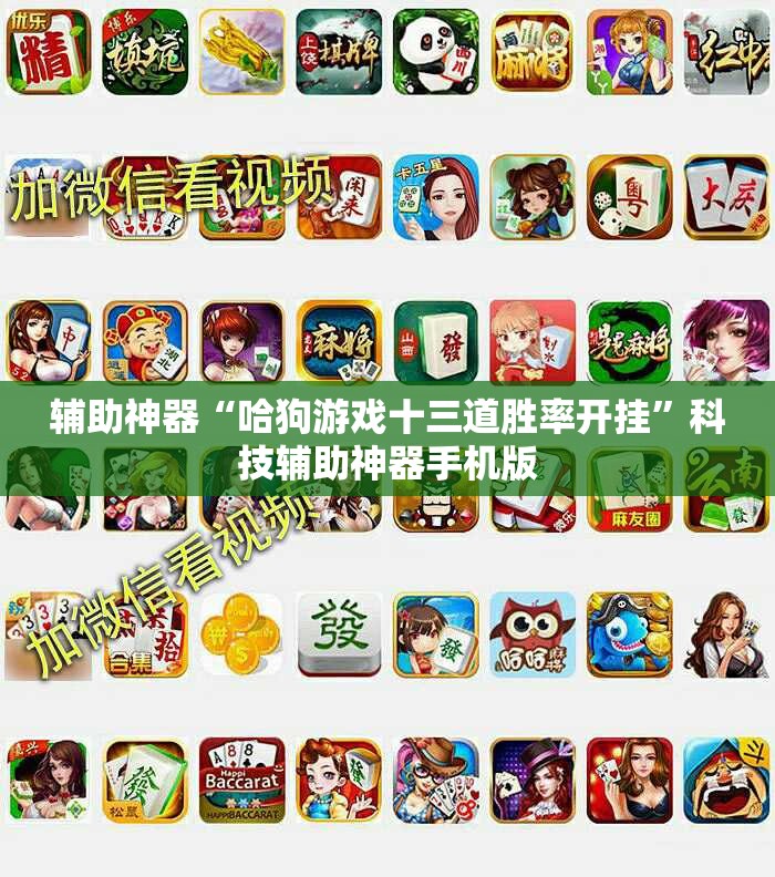 辅助神器“哈狗游戏十三道胜率开挂”科技辅助神器手机版