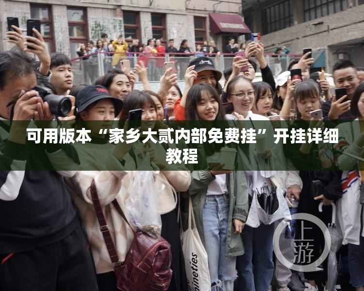 可用版本“家乡大贰内部免费挂”开挂详细教程