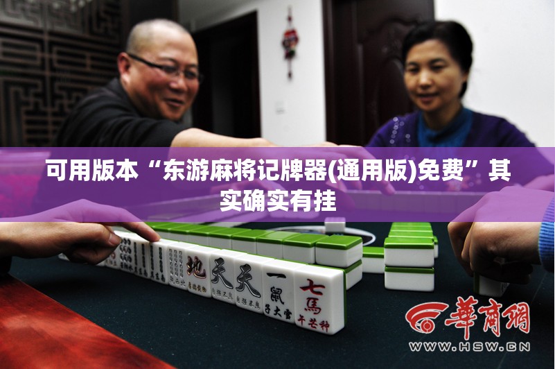 可用版本“东游麻将记牌器(通用版)免费	”其实确实有挂