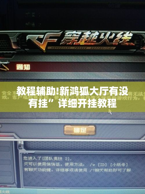 教程辅助!新鸿狐大厅有没有挂”详细开挂教程