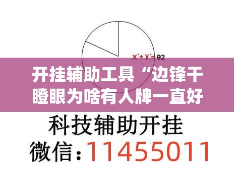 开挂辅助工具“边锋干瞪眼为啥有人牌一直好(透视)”开挂辅助脚本+详细开挂安装教程