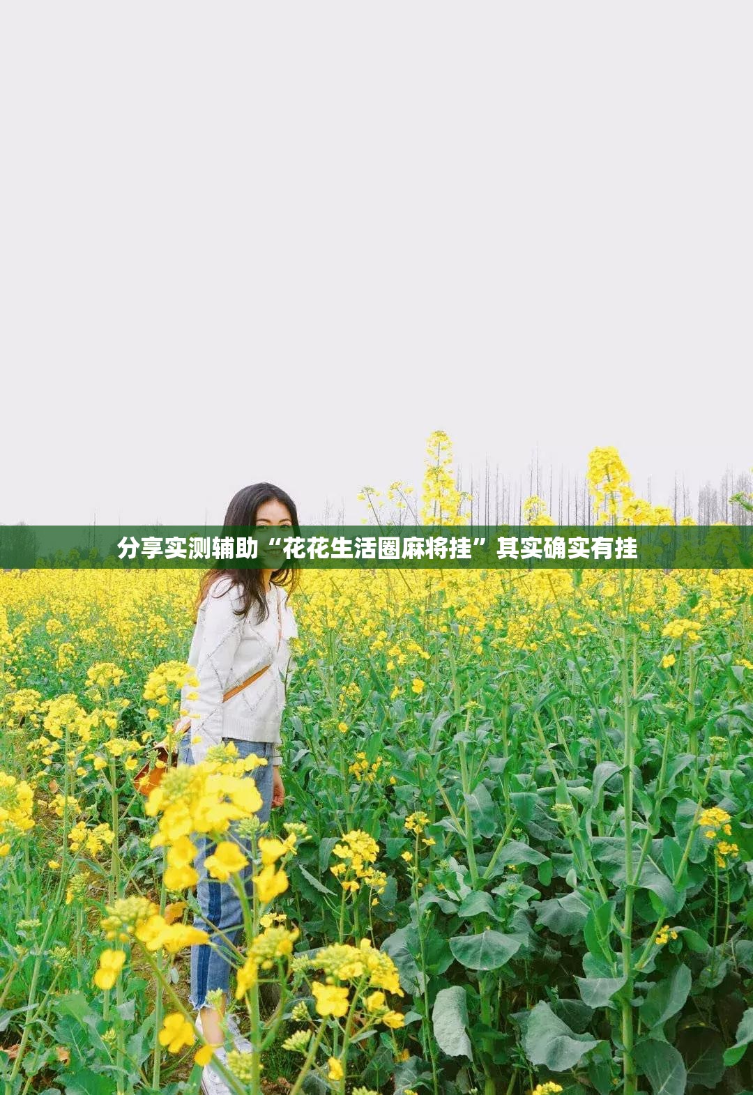 分享实测辅助“花花生活圈麻将挂”其实确实有挂