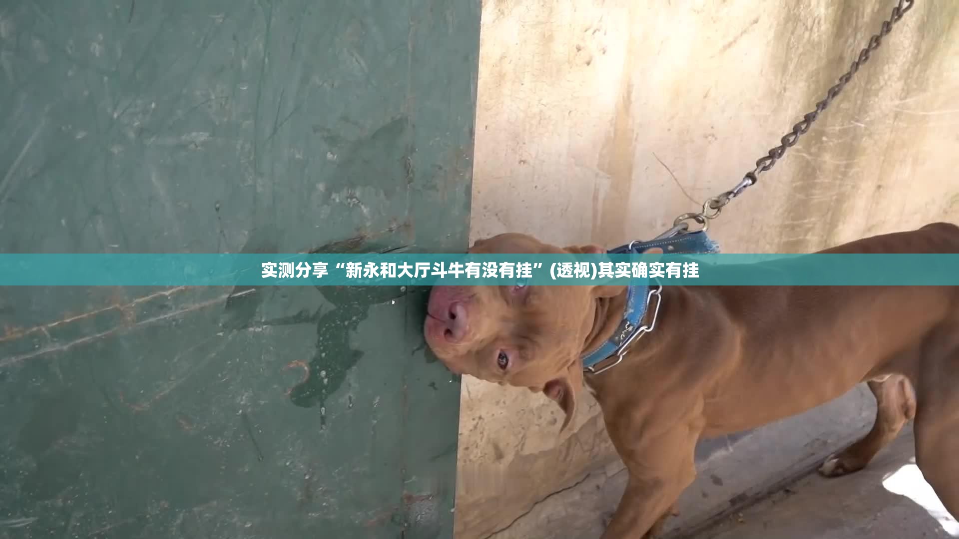 实测分享“新永和大厅斗牛有没有挂”(透视)其实确实有挂