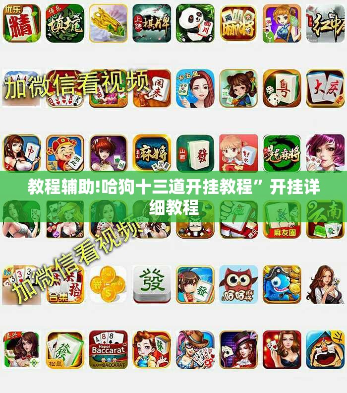 教程辅助!哈狗十三道开挂教程”开挂详细教程