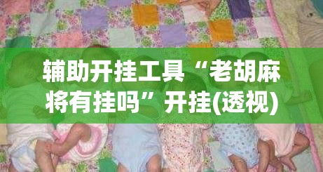 辅助开挂工具“老胡麻将有挂吗”开挂(透视)辅助教程