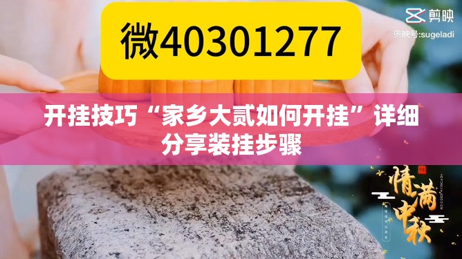 开挂技巧“家乡大贰如何开挂”详细分享装挂步骤