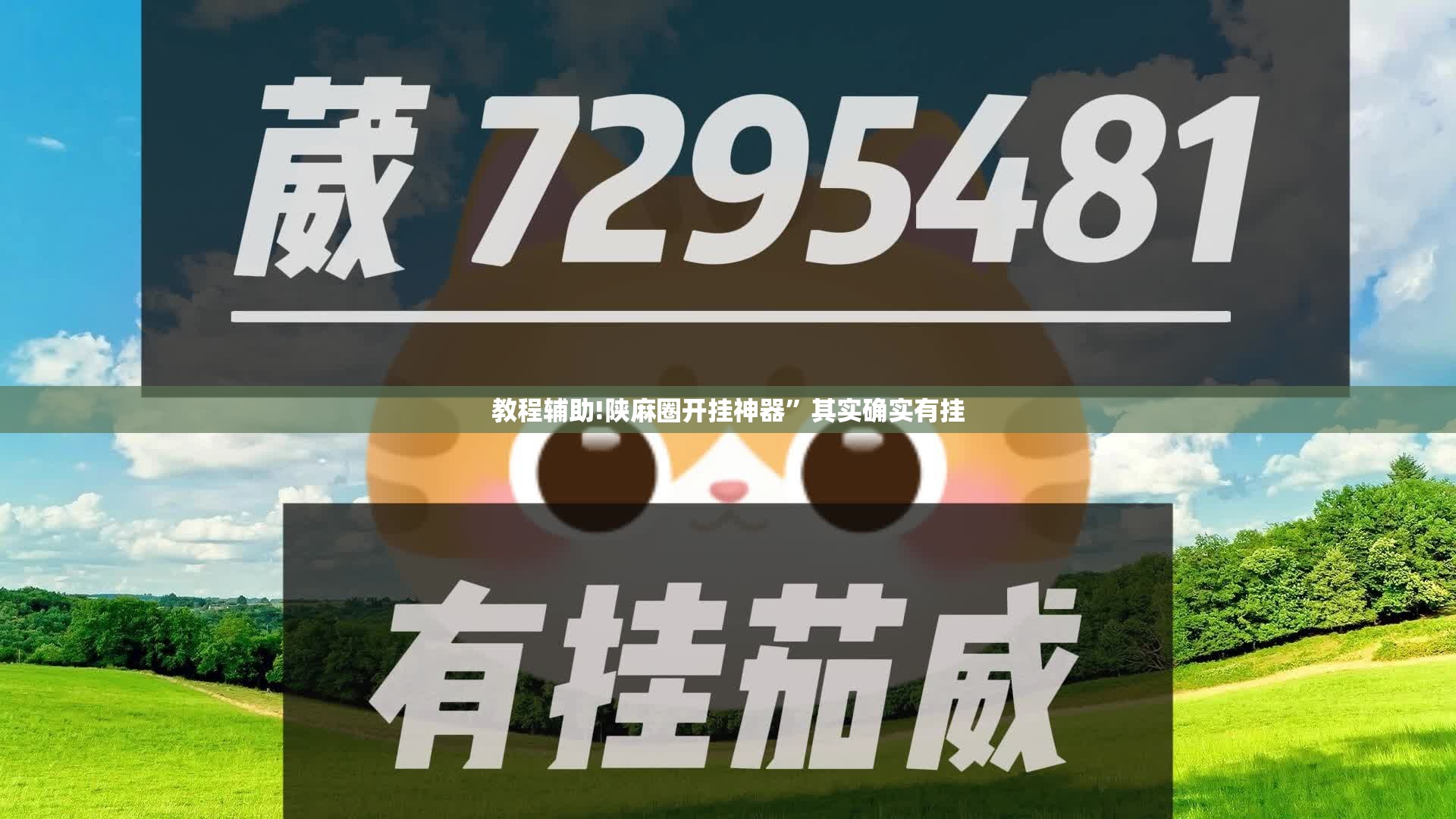 教程辅助!陕麻圈开挂神器”其实确实有挂