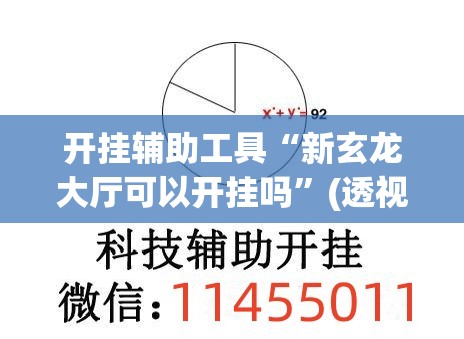 开挂辅助工具“新玄龙大厅可以开挂吗”(透视)其实确实有挂