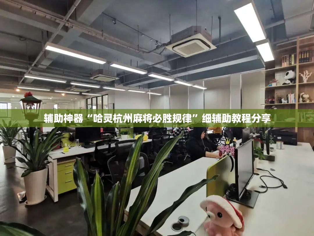 辅助神器“哈灵杭州麻将必胜规律”细辅助教程分享